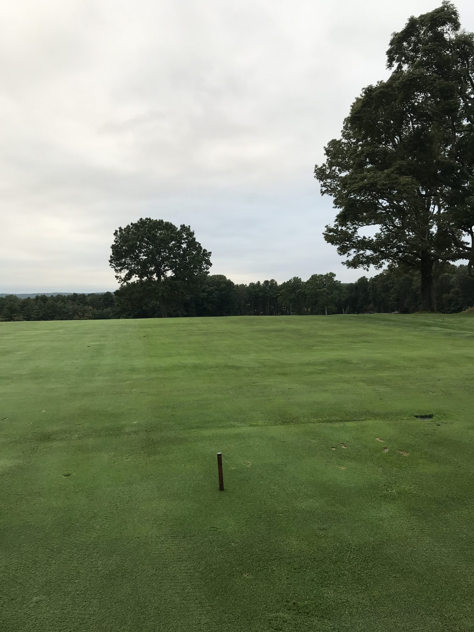 Best Free Golf GPS App (for iPhone or Android)